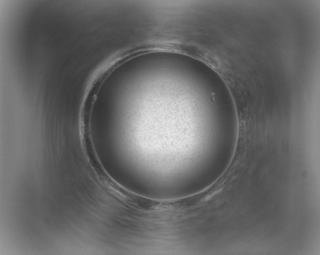 X0000071850294200607072308