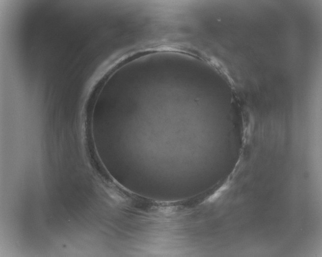 X0000071850295200607072308