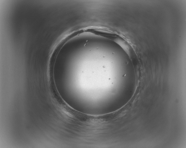 X0000071850296200607072308