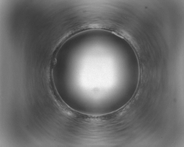 X0000071850297200607072308