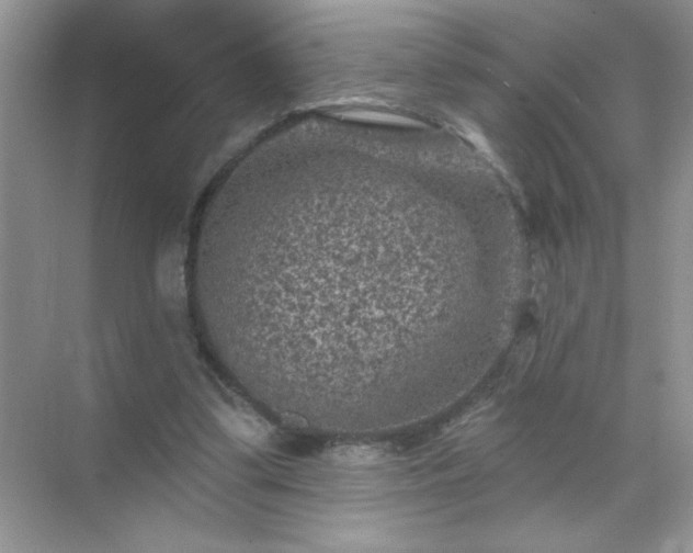 X0000071850299200607072308