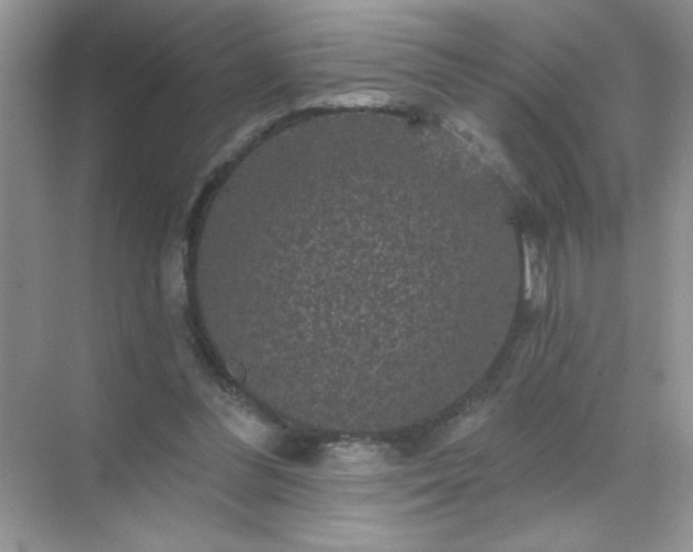 X0000071850300200607072308