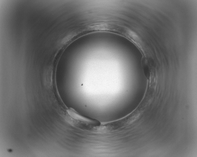 X0000071850301200607072308