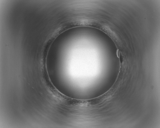 X0000071850306200607072308