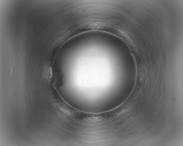 X0000071850307200607072308