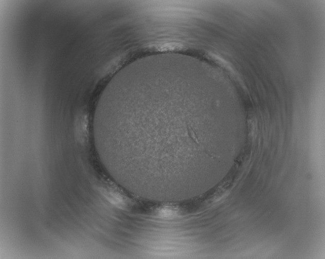 X0000071850308200607072308