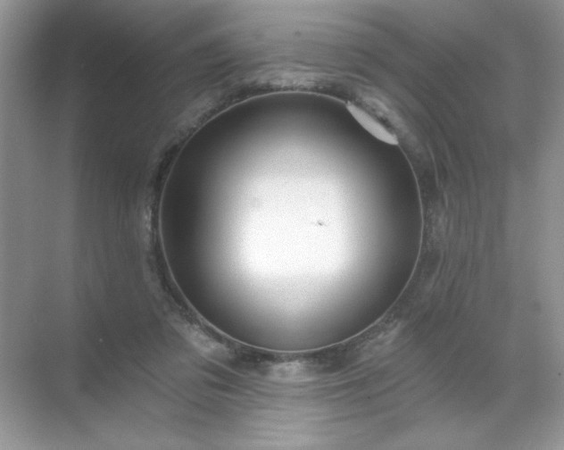 X0000071850309200607072308