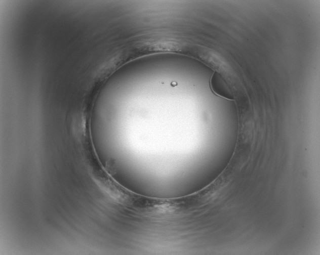 X0000071850310200607072308