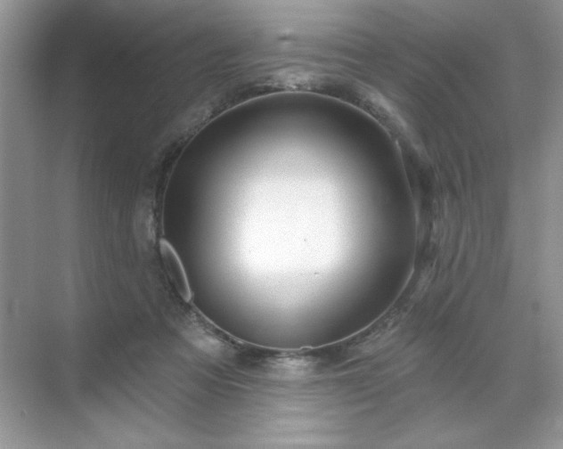 X0000071850313200607072308