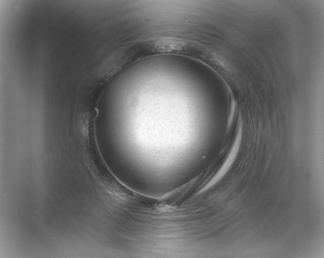 X0000071850315200607072308