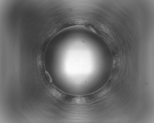 X0000071850317200607072308