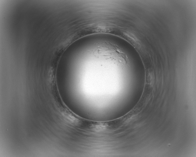 X0000071850318200607072308