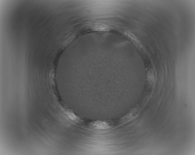 X0000071850322200607072308