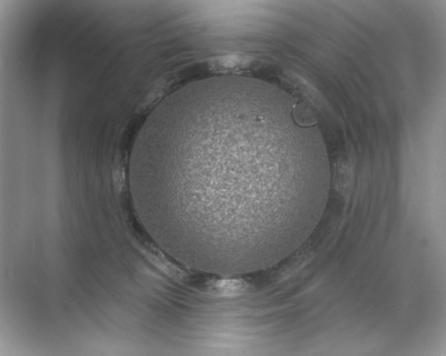 X0000071850324200607072308