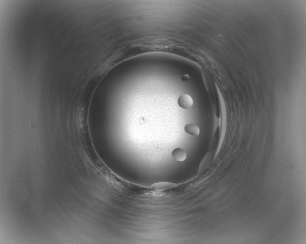 X0000071850326200607072308