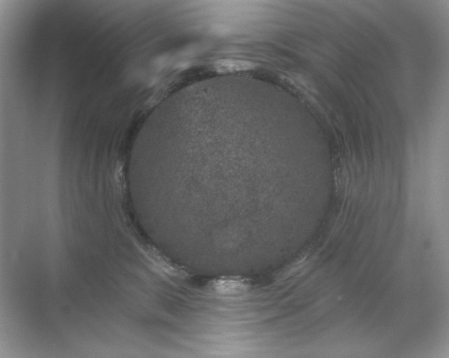 X0000071850327200607072308