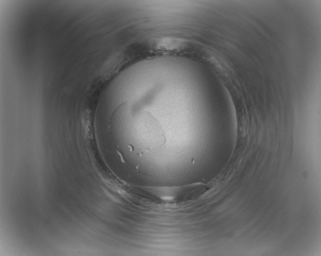 X0000071850328200607072308