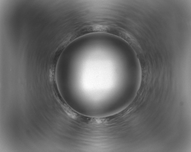 X0000071850329200607072308