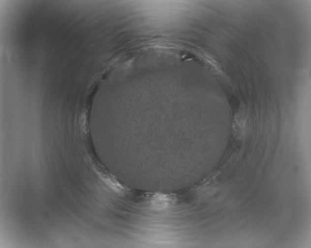 X0000071850330200607072308