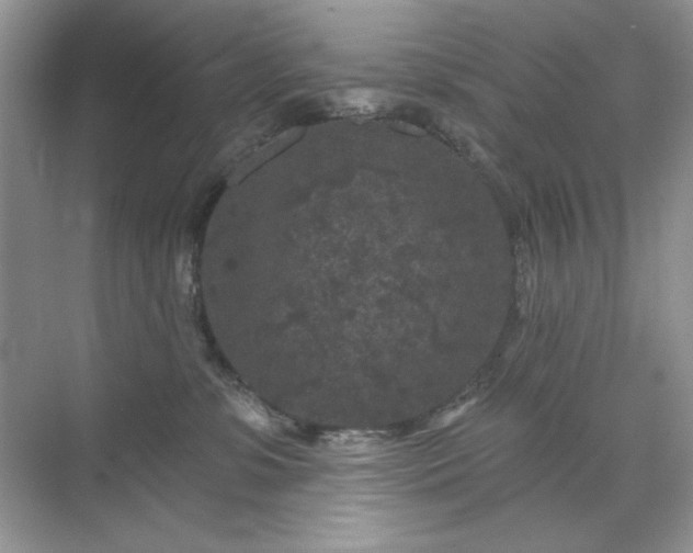 X0000071850331200607072308