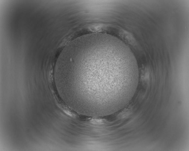 X0000071850332200607072308