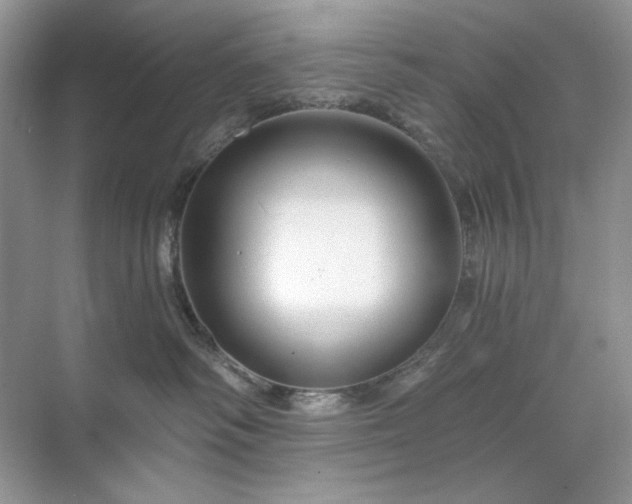 X0000071850334200607072308