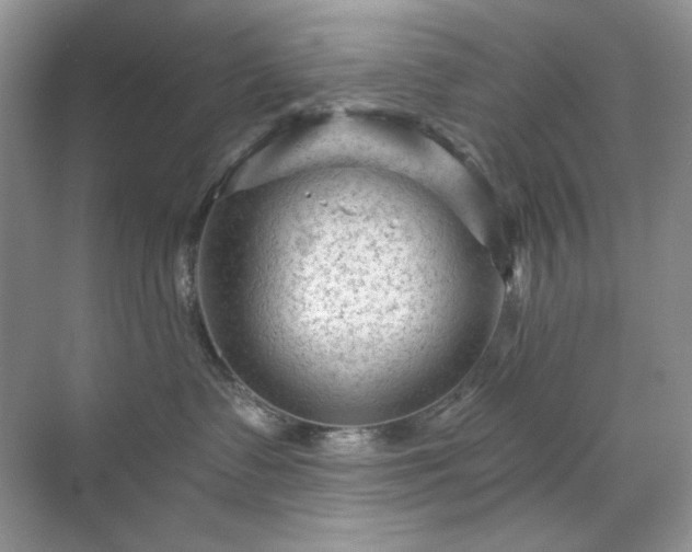 X0000071850335200607072308