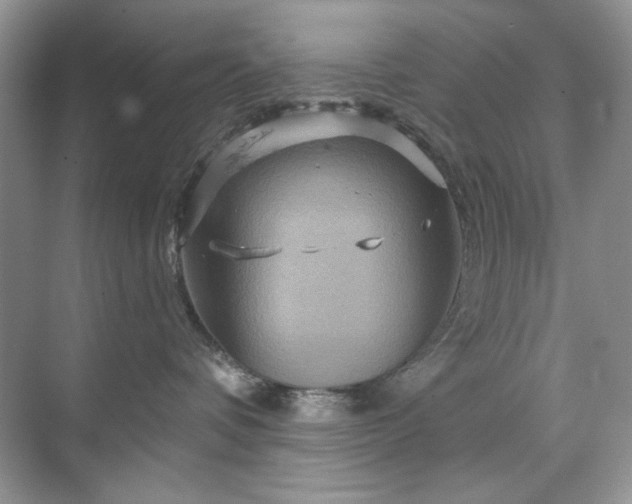 X0000071850336200607072308