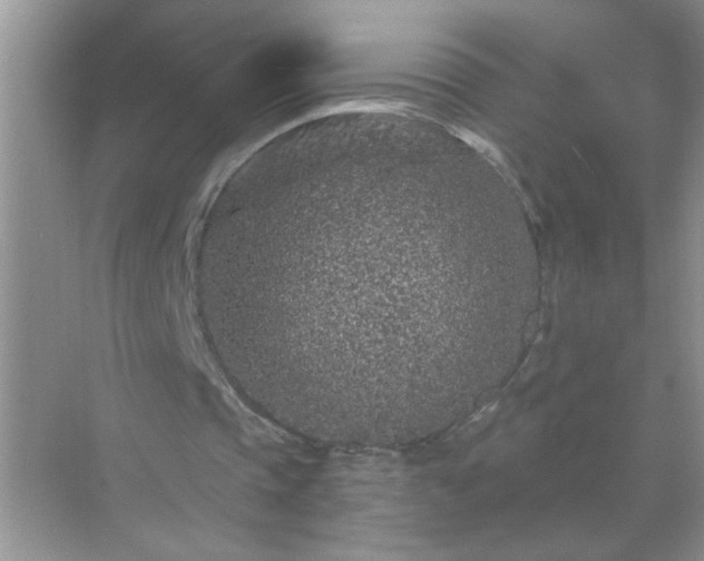 X0000071850337200607072307