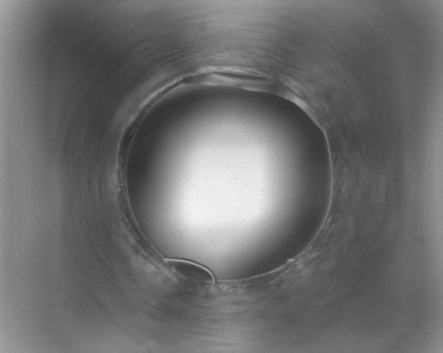 X0000071850338200607072307