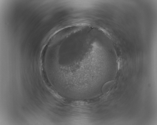 X0000071850339200607072307