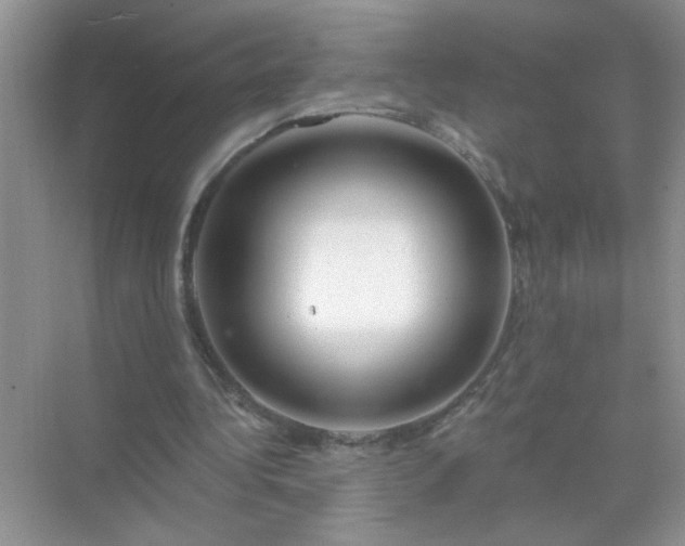 X0000071850340200607072307