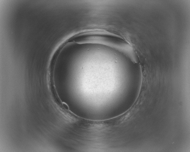 X0000071850342200607072307