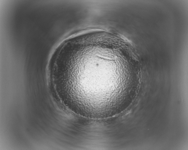 X0000071850343200607072307