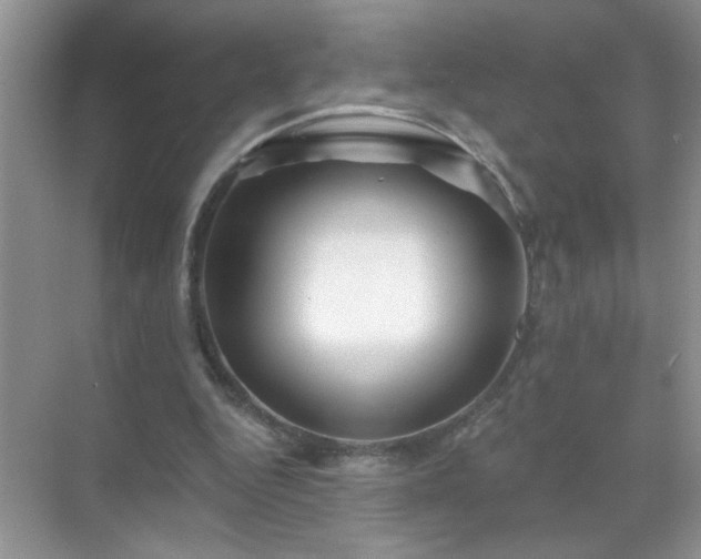 X0000071850344200607072307