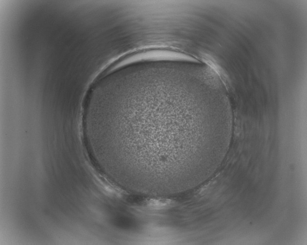 X0000071850346200607072307