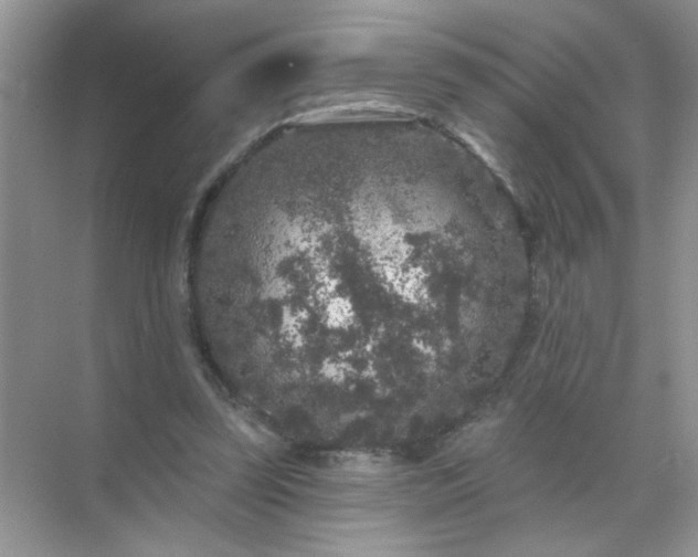 X0000071850347200607072307