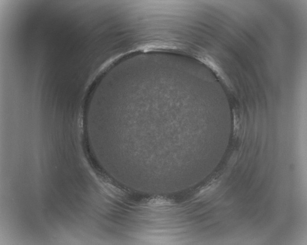 X0000071850348200607072307