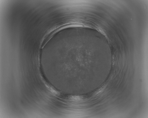 X0000071850349200607072307