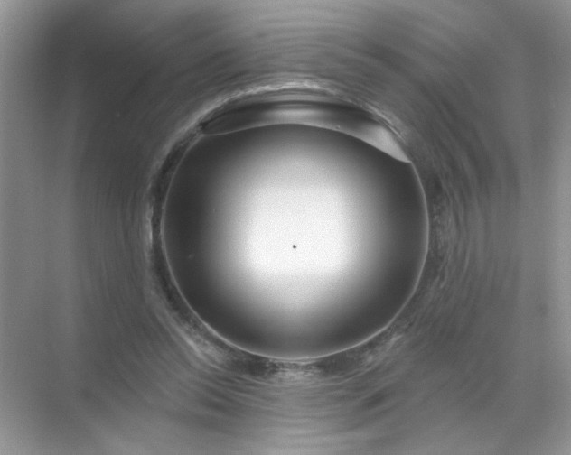 X0000071850350200607072307