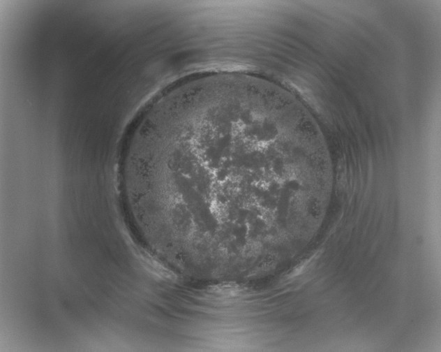 X0000071850351200607072307