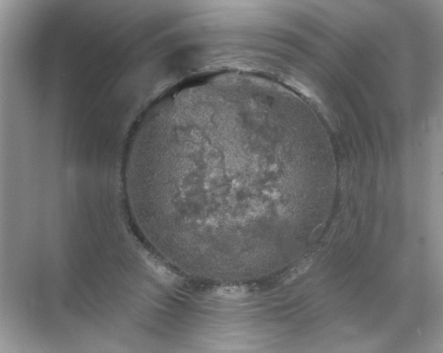 X0000071850353200607072307