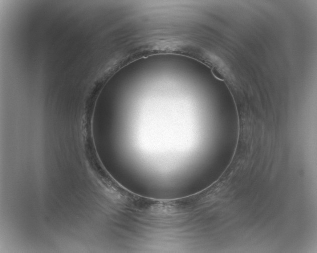 X0000071850354200607072307