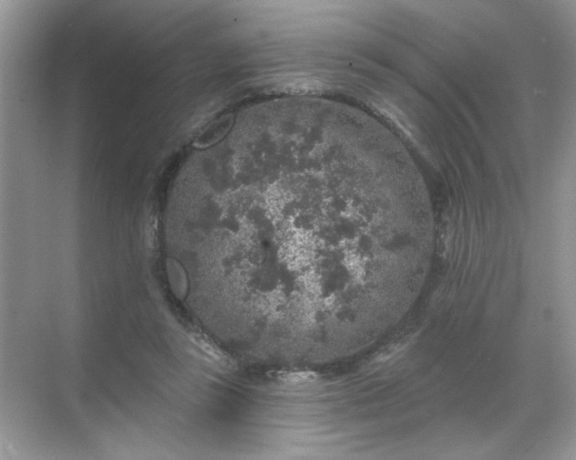 X0000071850355200607072307