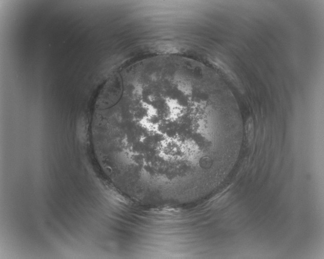 X0000071850359200607072307