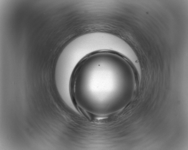 X0000071850360200607072307