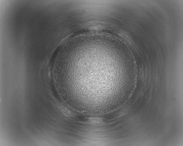 X0000071850363200607072307