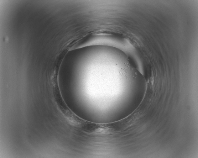 X0000071850364200607072307