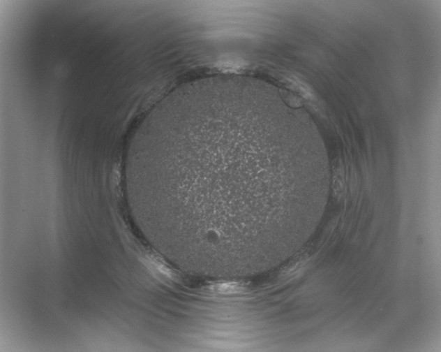 X0000071850365200607072307