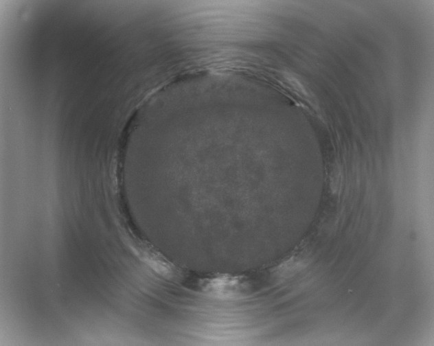 X0000071850366200607072307